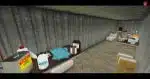 FiveM Illegal
